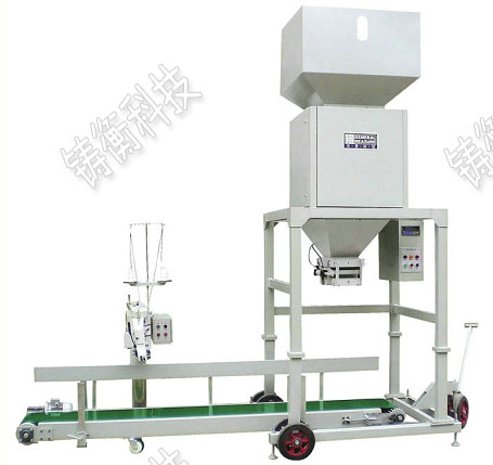 �o���������b��