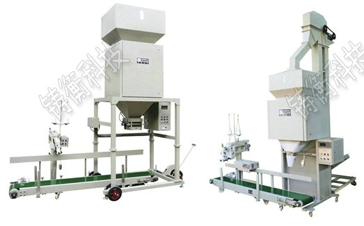 �ЙC�ʶ������b��